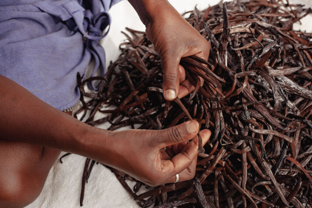 Madagascar vanilla beans wholesale: a guide for professional buyers img 0788.jpg